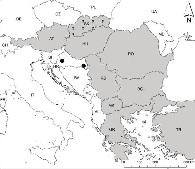 316 Zadravec, M. & Koren, T.: First record of Cortodera flavimana (Coleoptera: Cerambycidae) in Croatia 1906a, 1906b, 1906c).