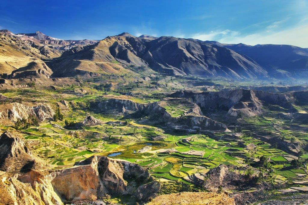 Day 11 Wednesday 25 th July Puno Colca Canyon Leaving PUNO we will be driven through the amazing scenery of the highlands with a stop in Lagunillas for taking pictures of the wildlife.