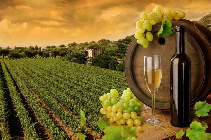 Prestige Full Day Small Group Tour TUSCAN WINE TRAIL ( 6 h ) The Tuscany Wine Trail was created to give travelers the opportunity to enjoy the greater wine-growing area of Tuscany called Chianti, and
