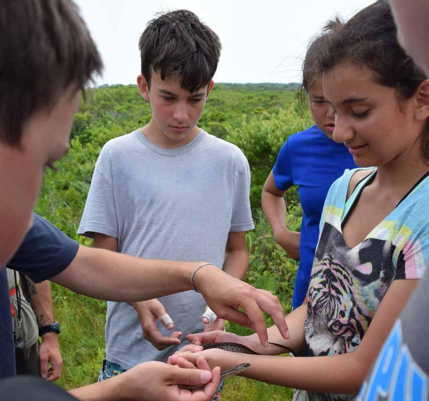 Teen Adventure Trips One- and two-week adventures for campers ages 14 17. MASSAUDUBON.
