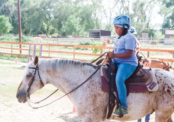 Alice Chester Overnight Camp Horse Programs Five nights Horse programs: Level/Price Description Sessions (All are five nights) Grade and Experience Needed Style of Riding and Time Spent with Horses