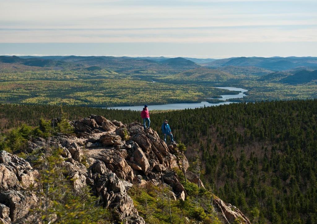 A WHITE PAPER - REVIEW OF NEW BRUNSWICK S PARKS ACT: CONSERVING AND PROTECTING FOR THE FUTURE 2013 Mount Carleton Provincial Park Parks and protected