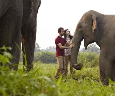 EXCLUSIVE HELI & ELE TRANSFER Experience the infamous Golden Triangle from above as Anantara Golden Triangle Elephant Camp & Resort presents the ultimate experience.