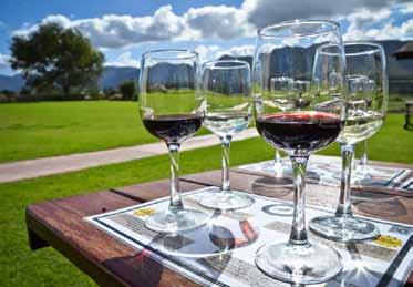 Day 12 Saturday, August 18th (continued) Afternoon Cape Winelands Tour World class wines, fine cuisine, rich history and beautiful scenic views, this afternoon has got it all.