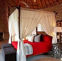 Safari offers an authentically South African wildlife experience, matched with sincere commitment to the Zulu
