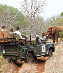 It is known for meaningful safari experiences and exclusive close-up encounters with Africa s magnificent Big