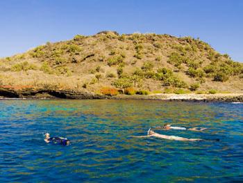 Activities Snorkeling: This is a unique opportunity to experience the wonders of the Galapagos marine reserve like sea lions, sharks, turtles, penguins and marine iguanas flopping around the water.