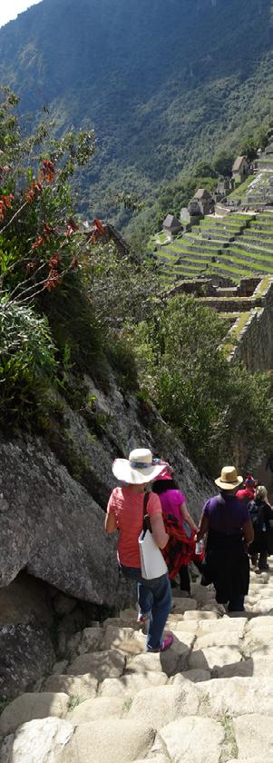 ARE YOU READY FOR THE JOURNEY OF A LIFETIME? Our journey will include at least 3 ceremonies with medicine plants and teachings from Peruvian traditions. This is not a tourist trip.