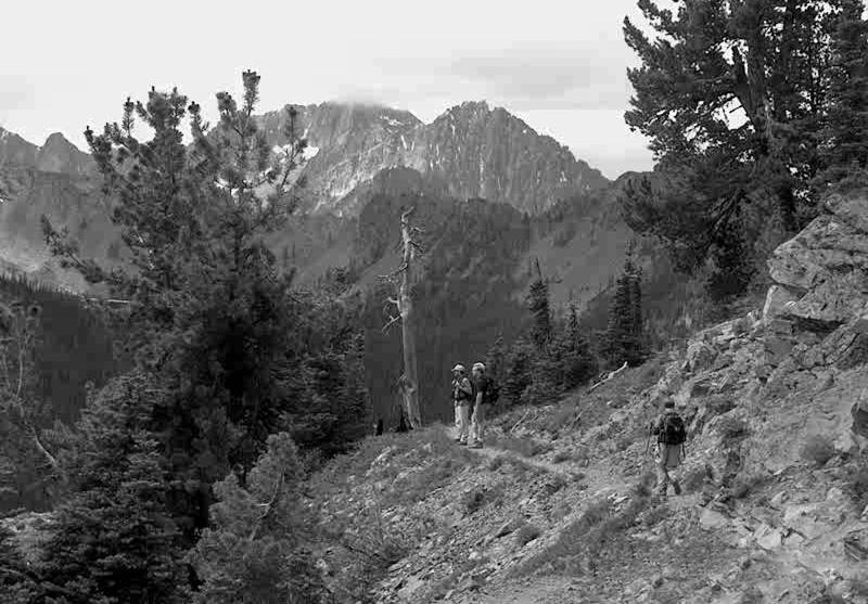 4. Windy Pass (Harts Pass/PCT North) Moderate Drive: 24 Hike: 7 Elev: 1300 Directions: Go to Harts Pass (see 4.