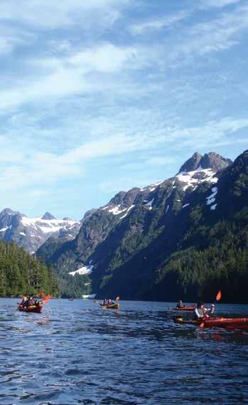Tongass backcountry by kayak, paddle board, skiff, and hike Search for wildlife bears, Sitka deer, sea lions, eagles, mink, porpoises, mountain goats Navigate winding Wrangell Narrows and Behm Canal