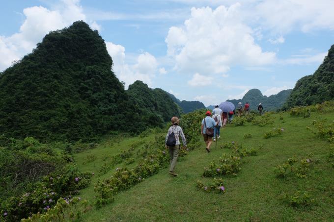 We continue trekking until we reach a meadow that offers irresistible views over maize fields and a fairy-tale landscape of limestone pinnacles covered in lush vegetation.