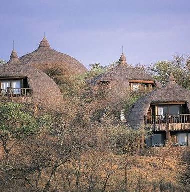 NIGHTS 4 & 5 Serena Serengeti Safari Lodge Serengeti National Park Tel 011-255-27-254-5555 africa@sanctuaryretreats.