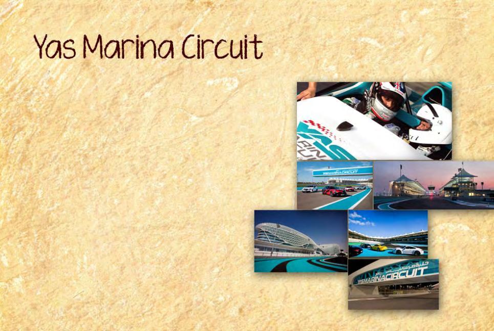 Experience the Yas Marina Circuit louder, faster and in person: if you are a motorsport fan, booking a track experience is a unique opportunity.
