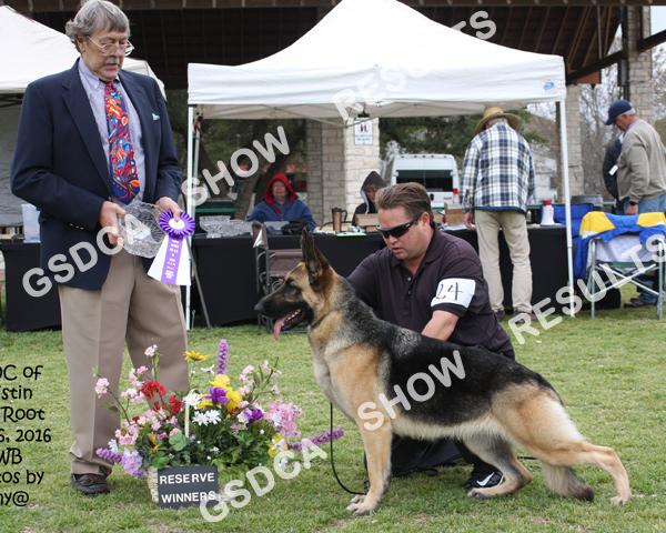 24 SAT AM: 2 nd SAT PM: n/e SUN: RW ROSEWOOD S KEELA. DN40484602. 5-25-14. Breeder: Bo Vujovich and Michael Bistrow. By: GCH Kennelwood s Man U Man X Ch. Rosewood s Sweetness.