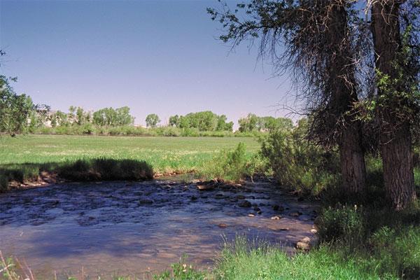 Beaver Creek is one of the Ranch s main sources