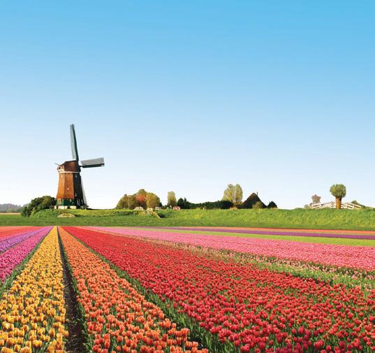 BELGIUM & FRANCE WEEKEND Prices from 129 per person Due to the popularity of our day trips to Brugge we have introduced a two day trip!