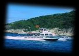 07:30: Pick up at hotel then transfer to Cua Dai harbor 08:00: Get on board & depart to Cham Island.