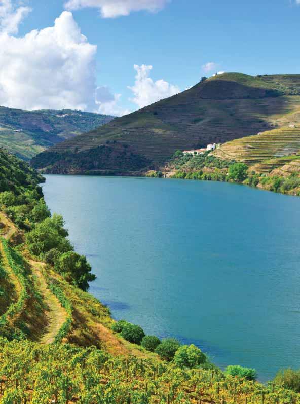 Portugal Itinerary Northern Portugal Barcelos Pinhão Porto Itinerary: 8 days / 7 nights Departures: Daily Duration: 7 nights Guide price from: 799.