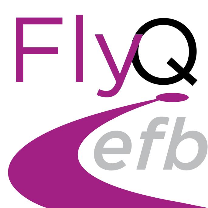 Guide to FlyQ