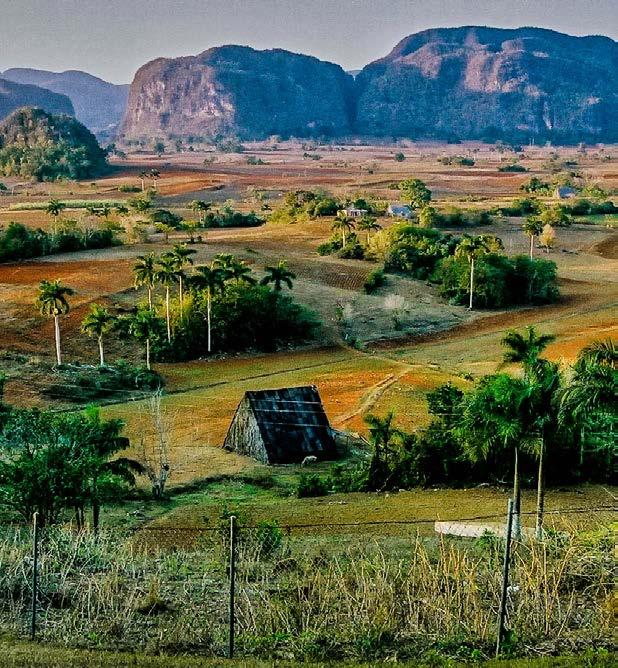 Thursday, January 14 08:30 am Day trip to Viñales Valley. Considered by many to be the most beautiful place in Cuba, the Viñales Valley National Monument holds stunning landscapes.