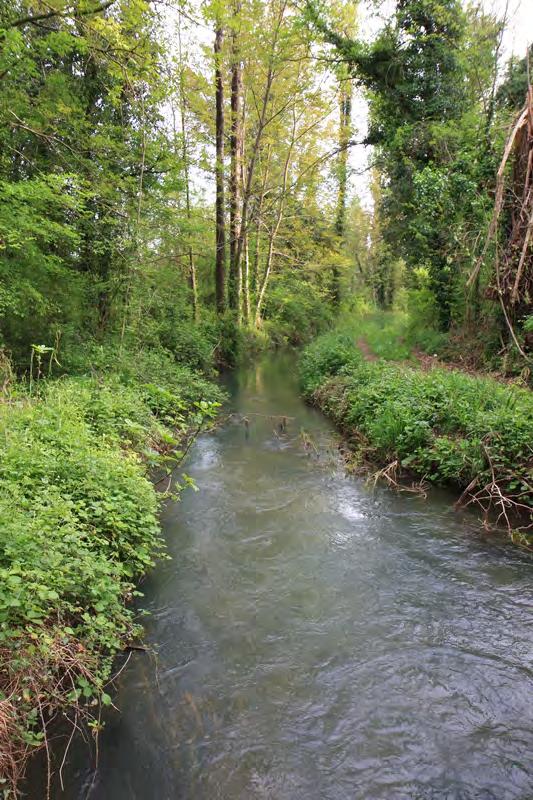 Najveći broj nalaza registrovan je u dolini rijeke Tihaljine od izvora u Peć Mlinima do Kravica na rijeci Trebižat, kao i na većini manjih tokova u Ljubuškom polju (Sl. 18.).