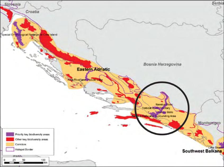 Ključna područja biološke raznovrsnosti Mediterana definisana su na osnovu prisustva populacija globalno ugroženih vrsta, vrsta ograničenog rasprostranjenja, biom-ograničenih vrsta ili
