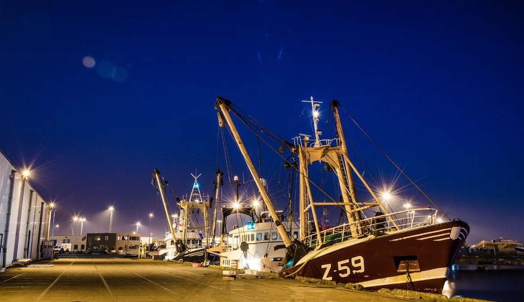 CONNECT #3 / 59 N O R T H S E A F I S H -FISHING- ZEEBRUGGE _ Zeebrugge is one of Europe s primary fishing harbours.