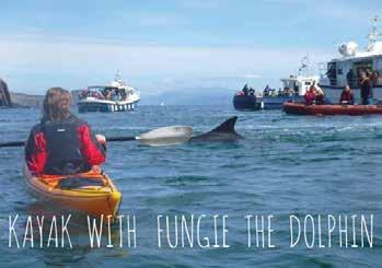 Day 3: Tuesday Dingle Start the morning kayaking to meet our famous dolphin, Fungie, in Dingle Bay.