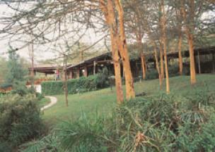 Sarova Lion Hill Lodge Situated at the heart of the Rift Valley, the Lake Nakuru national park is home to one of the most amazing ornithological spectacles in the world -
