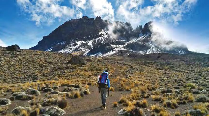 Starting at the Shira Plateau, you ll trek along the remote, untraveled Northern Circuit, a path that nearly circumnavigates the mountain.