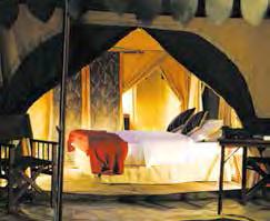 fine linens, and a personal verandah. Nyumba camps feature comfortable dining tents and lounges with device charging capabilities and cash bar.