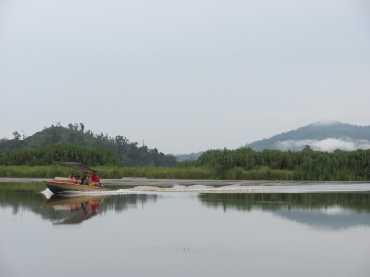 the year when water levels were relatively low. In the North Selangor peat swamp forest, on the west coast of Peninsular Malaysia, surveys were conducted during June 2013.