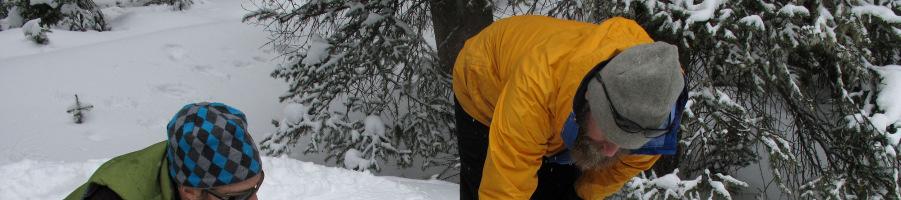 Page 4 More Wild Winter Offerings Outdoor Winter Survival Basics Date: January 28 Time: 9:30 a.m. 2:00 p.m. Location: Bozeman area Leader: Jeanette Hall (chall59715@hotmail.