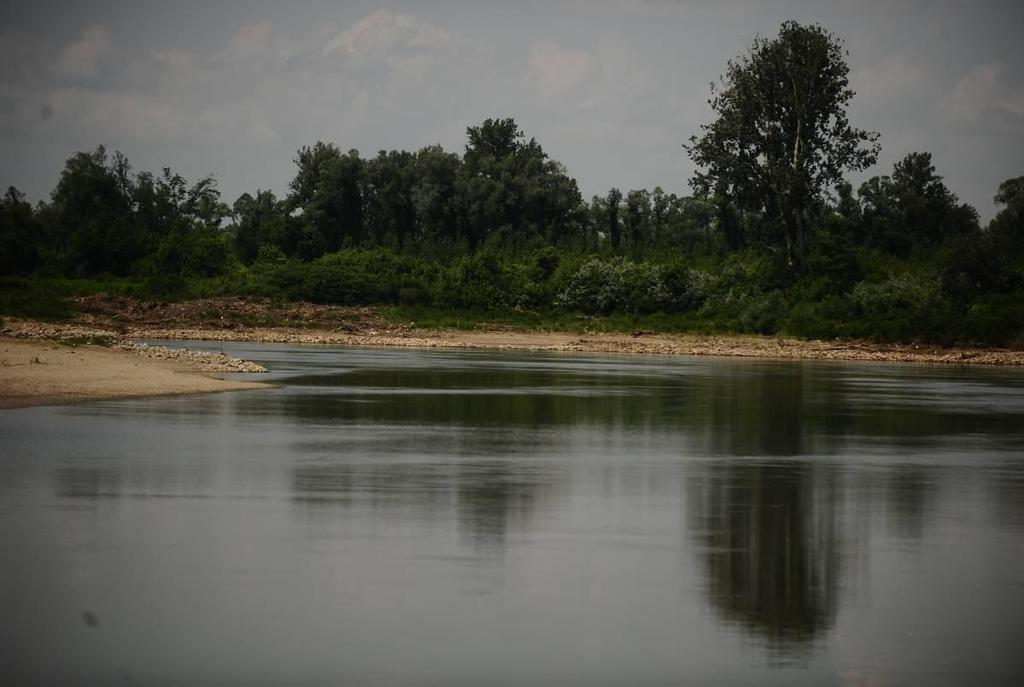 Figure A1-4: Drina confluent The Sava Commission and Sava countries aim at rehabilitation and development of the waterway on the Sava River between Belgrade and Sisak, along the stretch km 0 to km