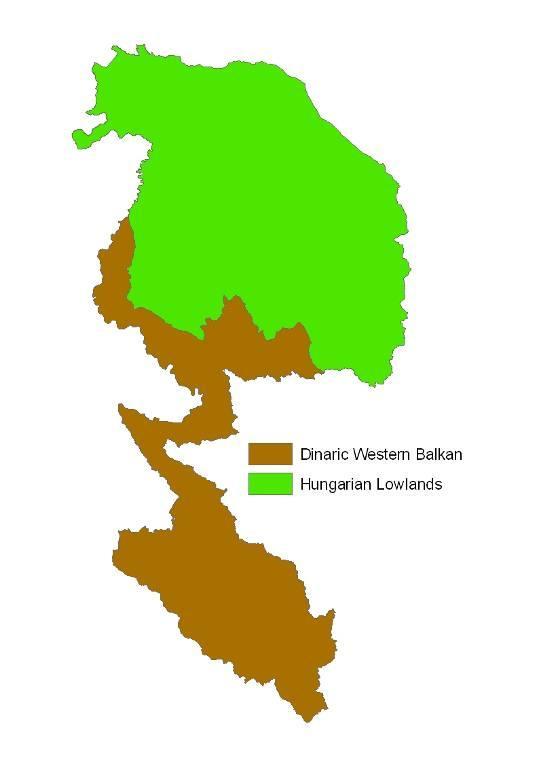 Territory of Serbia comprises six eco-regions and the Sava River Basin is a part of the two of them (Figure II-2).