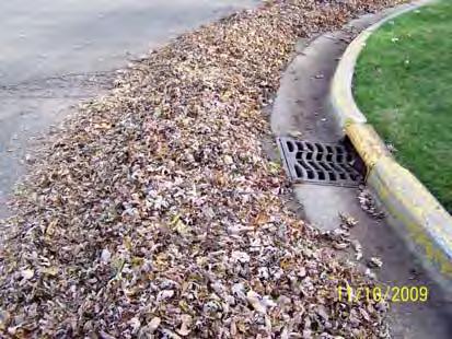 blow yard waste (leaves,