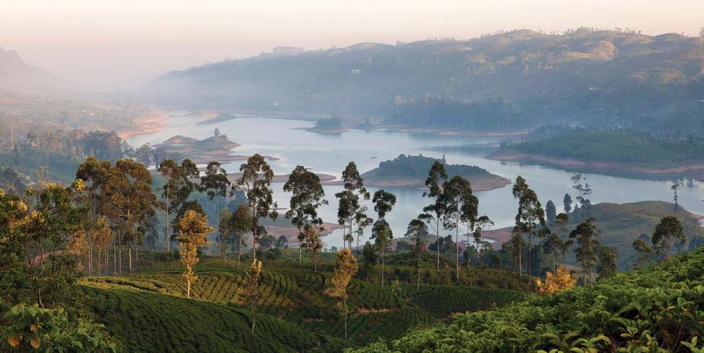 CEYLON TEA TRAILS Ceylon Tea Trails is the world s first tea bungalow resort, perched at an altitude of 1250 metres in Sri Lanka s panoramic Ceylon tea region, bordering the World Heritage Central