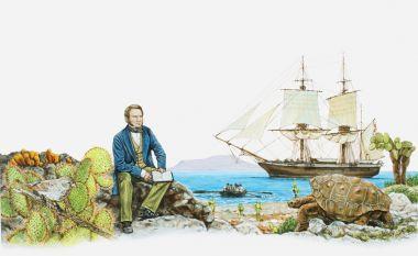 Galápagos - The Enchanted Isles On September 15, 1835, Charles Darwin, the 26 year-old naturalist on the HMS Beagle, landed on Chatham Island (now known as San Cristóbal Island) in the chain of