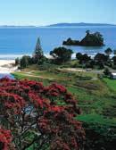 native bush walk experience Taste of Waiheke Tour Wine tasting and light lunch at Stonyridge Vineyard Olive Oil Tasting at Rangihoua Estate Complimentary All Day Bus Pass to further explore