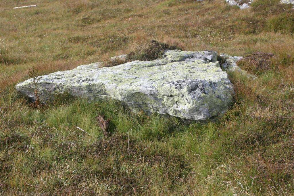 13 Slika 11: Potujoča skala na pobočju pod slemenom Steinschneider Grosser Speikkogel (foto K. Natek).