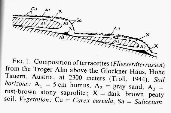 8 Slika 4 (levo): Geliflukcijske terasice (vir: Encyclopedia of Geomorphology, 1968, str. 371).