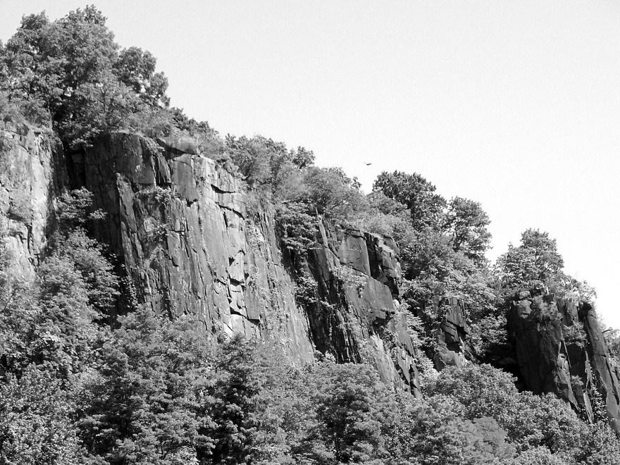 Kevin Woyce Palisades Interstate Park: The Lenape Indians called these cliffs Weehawken, rocks that look like trees. Roosevelt appointed George W. Perkins president of the Commission.
