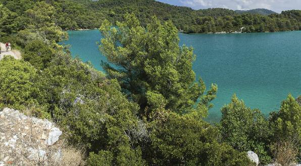 DELUXE MLJET DALMATIAN SOJOURN 8 day cruise from $2,090 MS FANTAZIJA*