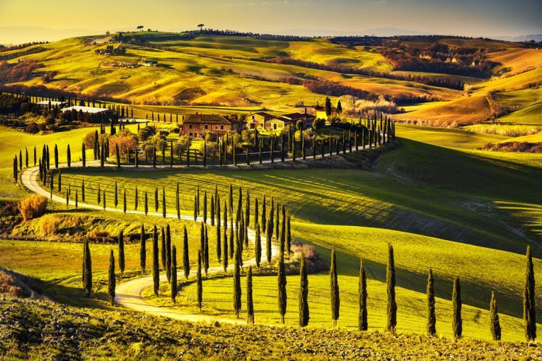 You leave Florence in the early afternoon, reaching SIENA in just 1 hour driving through the Chianti scenery, famous for its delightful hills and vineyards.