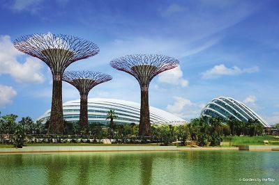 Privileges and Services when you travel to Singapore S$3Off FOR SKYLINE&LUGE RIDE AT SENTOSA S$3 discount on the 3-ticket set for the Luge &