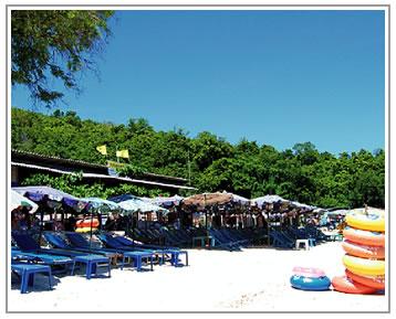 FULL DAY TOURS CODE: CIB - PATTAYA AND CORAL ISLAND If you have free day, why not visit Pattaya, one of Thailand s famous beach resort destinations on the Gulf of Thailand only 120 km.