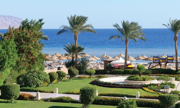 Sharm El Sheikh Egyptian Endeavour This program covers Cairo and a four night Nile cruise, but allows for a few days of relaxation at the shores of the Red Sea in Sharm El Sheikh, Cairo sightseeing,