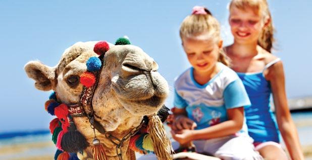 Egyptian Family Adventure This program allows for more sightseeing time in Cairo and extra night in adding visits to Pharaoh and Nubian villages to the most popular sightseeing.