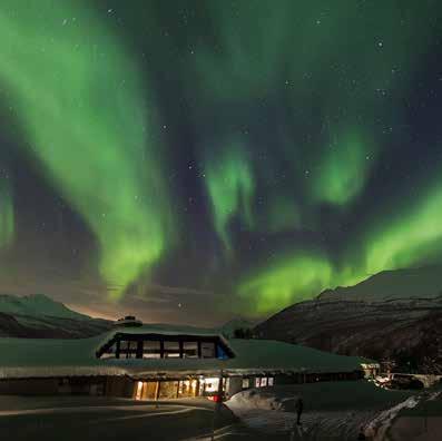Photo: Kjetil Skogli A visit to Polar Park, with accommodation at Fjellkysten Provider: Fjellkysten Time: Tour starts at 10:30 From: Scandic Hotel, Narvik Season: 10.12 31.