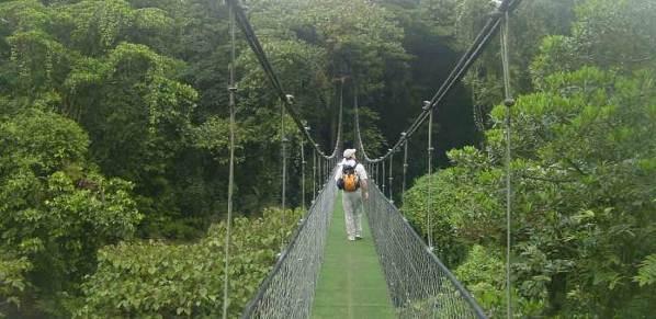 DAY 9 ~ TUESDAY ~ JULY 2 MONTEVERDE BIOLOGICAL RESERVE HIKE AND SELVATURA HANGING BRIDGES Founded in 1972, the Monteverde Cloud Forest Biological Reserve is famous for its biodiversity, conservation,